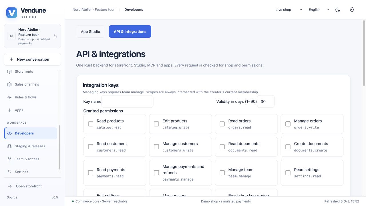 API/MCP permission selection and native endpoint explorer workspace