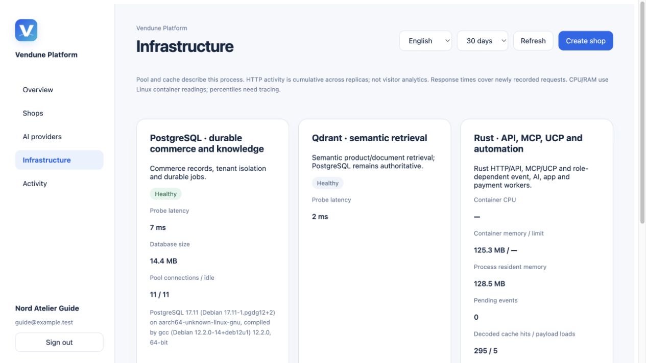 Actual PostgreSQL, Qdrant and Rust probes in the isolated Docker instance
